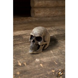 LARP skull - Celtic Webmerchant