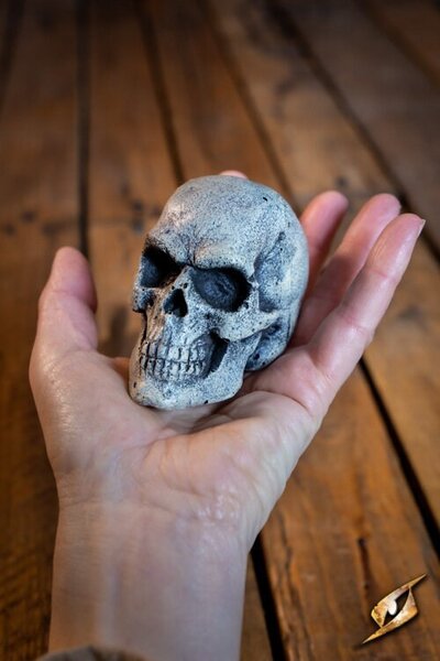 Cranio di LARP - Celtic Webmerchant