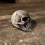 Cranio LARP, colore acciaio - Celtic Webmerchant