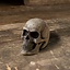 LARP skull, steel color - Celtic Webmerchant