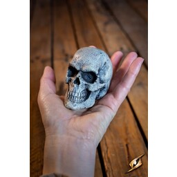 LARP skull, steel color - Celtic Webmerchant