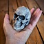 LARP skull, steel color - Celtic Webmerchant