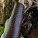 Epic Armoury Leather Bracers Battle, brown, pair - Celtic Webmerchant
