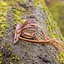 Leather holster hook for LARP sword, brown - Celtic Webmerchant