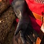 Leather medieval gloves, black - Celtic Webmerchant