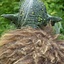 Masque seigneur gobelin aux cheveux gris - Celtic Webmerchant