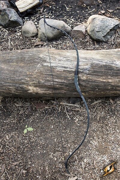 Recurve łuk średni, czarny - Celtic Webmerchant
