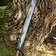 Epic Armoury RFB pirat cutlass skallen - Celtic Webmerchant