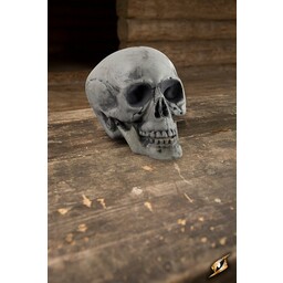 Skull 21 cm - Celtic Webmerchant