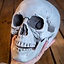 Skull 21 cm - Celtic Webmerchant