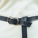 Leonardo Carbone Ceinture celtique Fionn, noir - Celtic Webmerchant