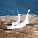 Lower jaw of roe deer - Celtic Webmerchant