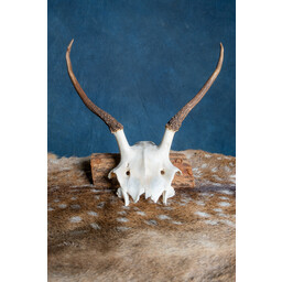 Skull Red Deer Cernunnos - Celtic Webmerchant