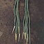 Tie laces with aiglets, set of 6, green - Celtic Webmerchant