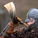 Epic Armoury Viking roephoorn Sverre - Celtic Webmerchant