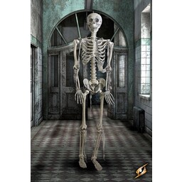Full skeleton - Celtic Webmerchant