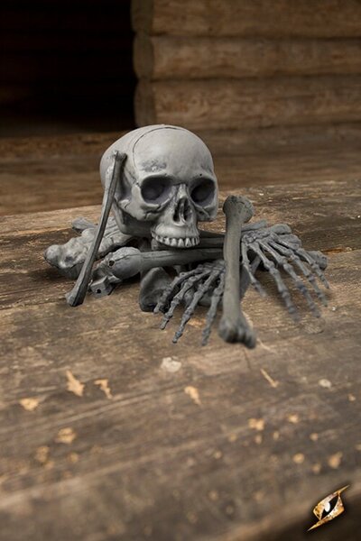 Bag with 18 bones - Celtic Webmerchant