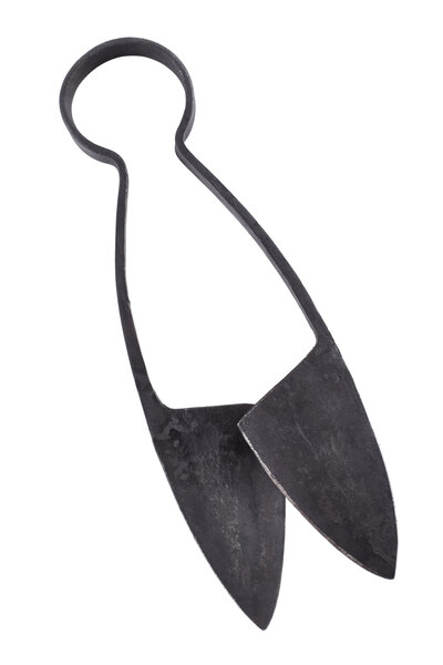 Bow scissors, L - Celtic Webmerchant