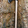 Deepeeka Large Francisca throwing axe - Celtic Webmerchant