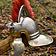 Deepeeka Casco Romano centurión - Celtic Webmerchant