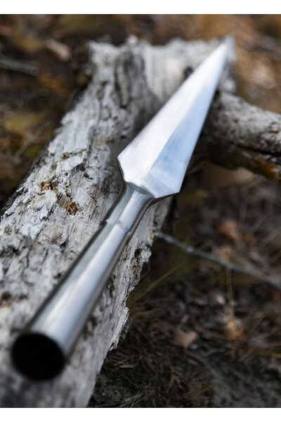 Fer de lance - Celtic Webmerchant
