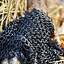 Bronzed chainmail piece, unriveted, 8 mm - Celtic Webmerchant