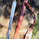 Deepeeka Épée anthropomorphique celtique - Celtic Webmerchant