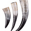 Drinking horn, several sizes - Celtic Webmerchant