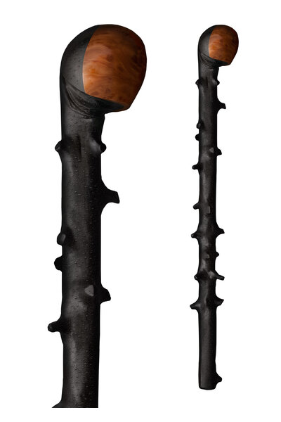 Blackthorn shillelaghs, bastone da passeggio irlandese - Celtic Webmerchant