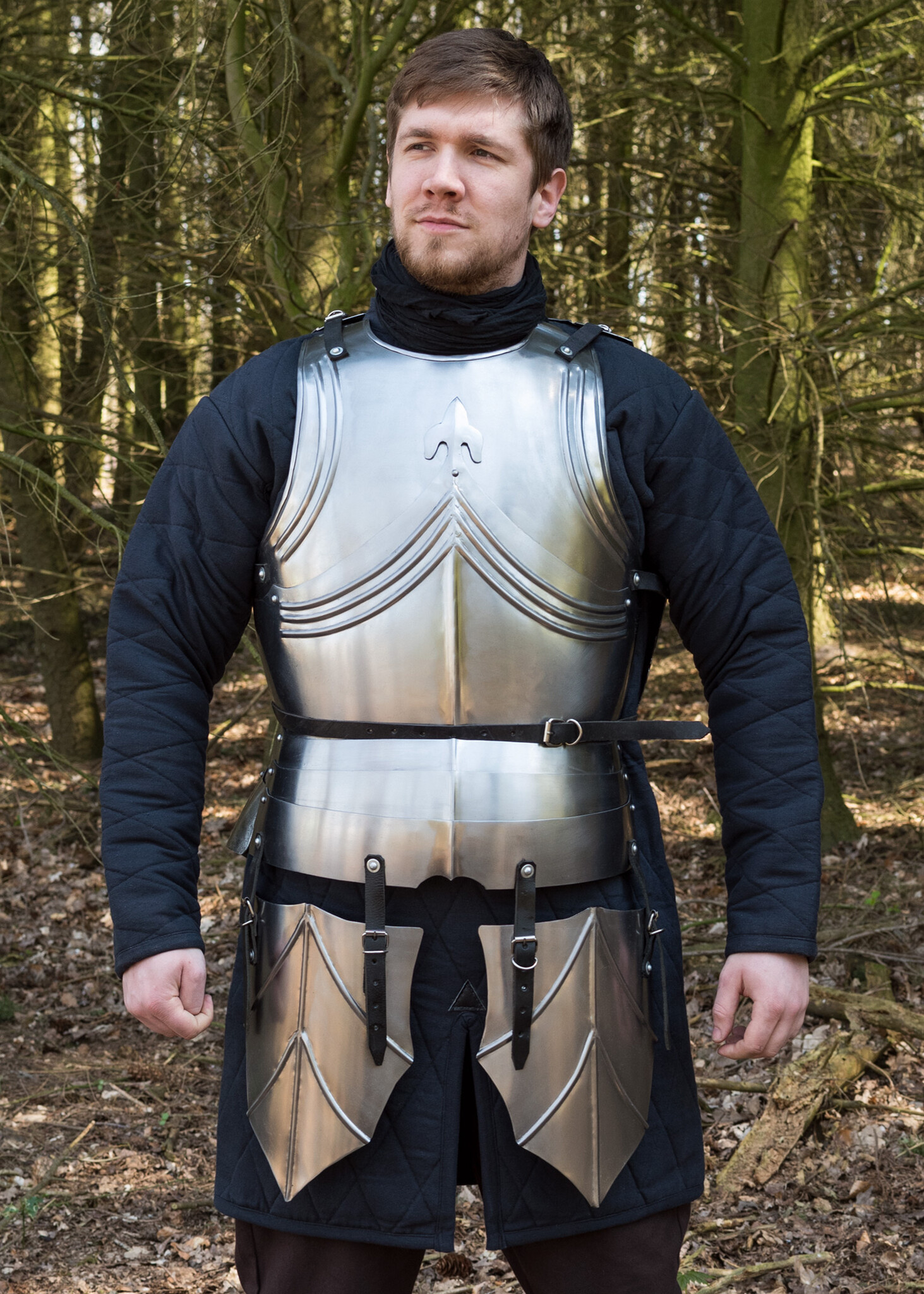 Deepeeka Gothic cuirass with backplate - CelticWebMerchant.com