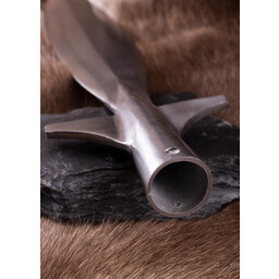 Eberspeerspitze, ca. 50 cm - Celtic Webmerchant