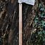 Viking Axe, Hand-Forged Steel, Type F - Celtic Webmerchant