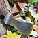 Deepeeka Viking axe, type H, engraved - Celtic Webmerchant