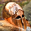 Corinthian type A helmet - Celtic Webmerchant