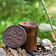 Ulfberth Bicchiere per dadi Vegvisir - Celtic Webmerchant