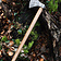 Ulfberth Viking Axe, Hand-Forged Steel, Type M - Celtic Webmerchant