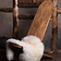 Chaise en bois - Celtic Webmerchant