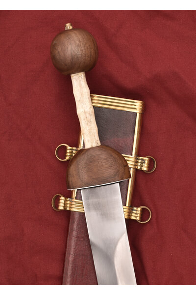 gladius Pompeje - Celtic Webmerchant