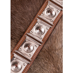 Roman balteus Rheingönheim med emalj - Celtic Webmerchant