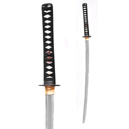 Battle-ready katana (Iaito) (bot 3 mm) - Celtic Webmerchant