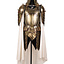 King's Guard Armor - Celtic Webmerchant