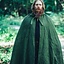 Capa Milisant, verde - Celtic Webmerchant
