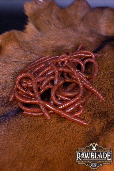 Magiczne składniki - dżdżownice - Celtic Webmerchant