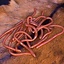 Magical Components - Earthworms - Celtic Webmerchant