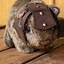 Battle Companion Guinea Pig Louis - Celtic Webmerchant