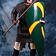 Deepeeka Norman shield - Celtic Webmerchant