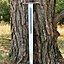 Espada medieval River Witham, siglo XIII - Celtic Webmerchant
