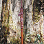 Longsword with scabbard, battle-ready - Celtic Webmerchant