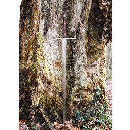 Longsword with scabbard, battle-ready - Celtic Webmerchant