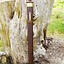 Roman sword Nydam - Celtic Webmerchant